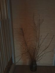 -8SPA养愈空间·新中式疗愈spa