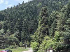-武陵山森林公园