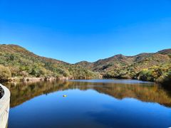 -北京西山国家森林公园