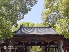 -南汇桃花村