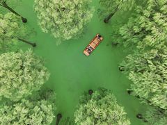 -渌洋湖湿地公园