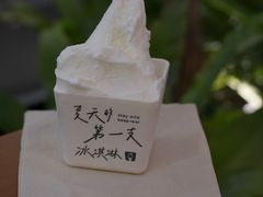 -野人先生Gelato(上海长宁龙之梦店)