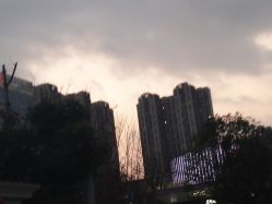-妍理·植物养发
