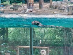 -广州长隆野生动物世界
