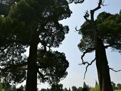 -景山公园