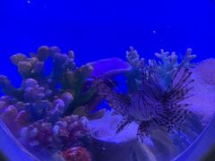 -海合安武汉极地海洋公园