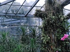 -东莞植物园