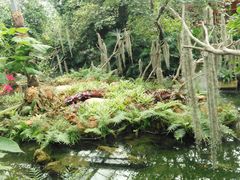 -南通洲际绿博园