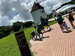 -济州森林小火车生态公园
