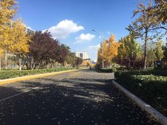 -中关村生命科学园