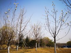 -沈阳职业技术学院