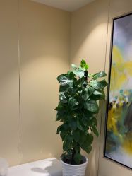 -Yestar宁波艺星整形医院
