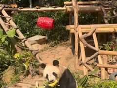 -深圳野生动物园