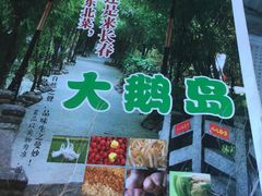 菜单-大鹅岛绿色生态美食园