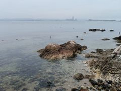 -养马岛旅游度假区