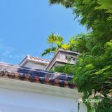 拍照绝了！！广州小故宫[色]｜永庆坊独栋咖啡馆｜时萃咖啡