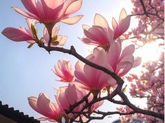 -大连植物园