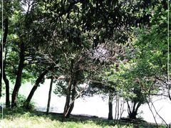 -富春桃源风景区