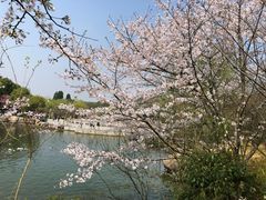 -白马涧龙池景区