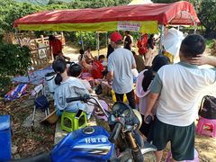 -从化深英荔枝黄皮龙眼采摘园