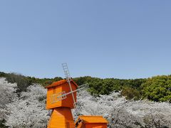 -苏州上方山国家森林公园
