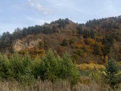 -御道口草原森林风景区