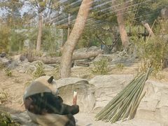 -武汉动物园