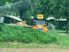 -北京野生动物园