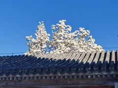 -北京石刻艺术博物馆(五塔寺)