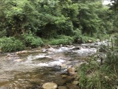 -秦岭风景区