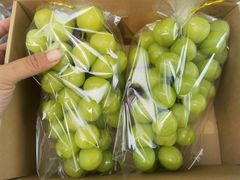 -美家乐农庄·露营·团建(大治路店)