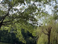 -九如山休闲旅游度假区