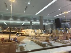 -上海浦东国际机场-T2航站楼