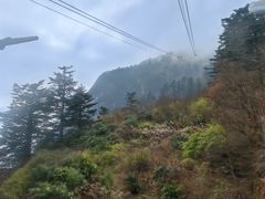 -峨眉山风景名胜区