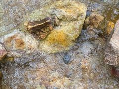 -南海湾森林生态园