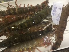 -海大大蒸汽海鲜餐厅·粤菜·特色小炒(欢乐颂店)