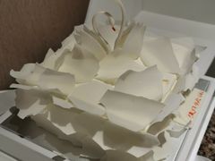 至美14cmx14cm-BLACKSWAN黑天鹅(环球店)
