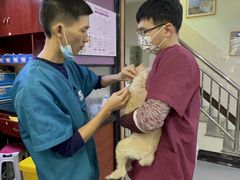 -安安宠医宠物医院·异宠·犬猫内科(岳阳分院)