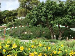 -龙环葡韵住宅式博物馆