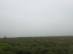 -北海金海湾红树林生态旅游区