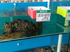水产区-港畔赶海蒸汽海鲜烧烤自助(仙螺岛店)