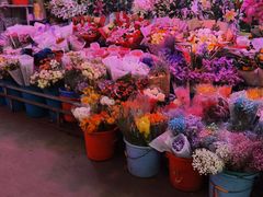 -花鸟鱼虫鲜花绿植市场(玉泉路店)