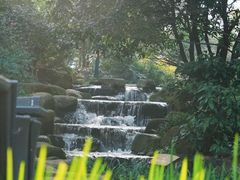 -中国茶叶博物馆(双峰馆区)