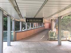 -香港大学