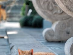 -龙华寺