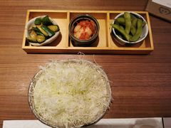 -堂本家·二代目·炸猪排(中心书城店)
