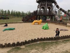 -上海长兴岛郊野公园