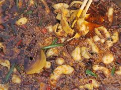 -胖子鱼·天水麻辣鱼火锅(秦州407店)