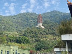 -深圳仙湖植物园