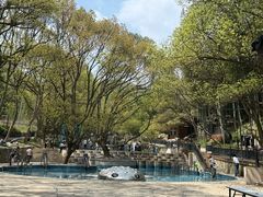 -东明山森林公园